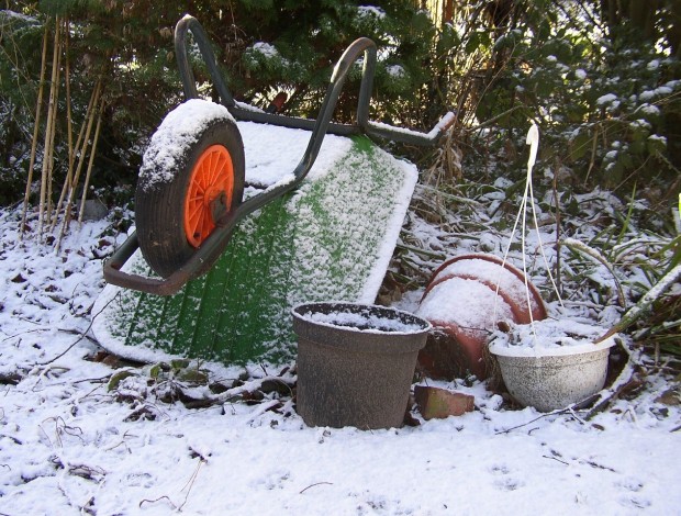 8 Conseils pour Préparer son Terrain pour LHiver