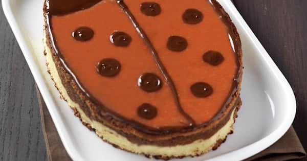 Recette G teau Coccinelle au Chocolat au Lait Circulaire en ligne