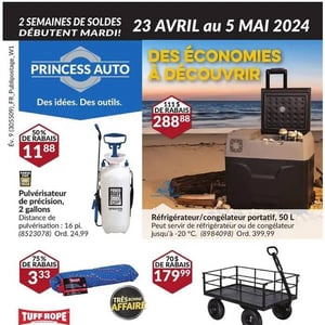 Image de la Promotion Circulaire Princess Auto