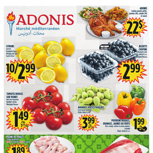 Image de la Promotion Circulaire Adonis