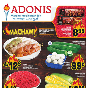 Image de la Promotion Circulaire Adonis