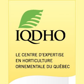 Logo IQDHO