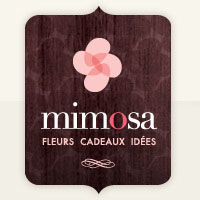 Logo Mimosa Fleur