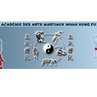 Logo Académie des Arts Martiaux Moan Kung Fu