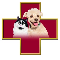Logo Clinique Vétérinaire AnimoSoins