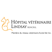 Logo Hôpital Vétérinaire de Lindsay