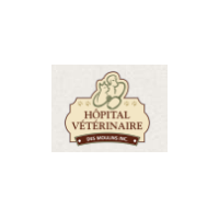 Logo Hôpital Vétérinaire des Moulins